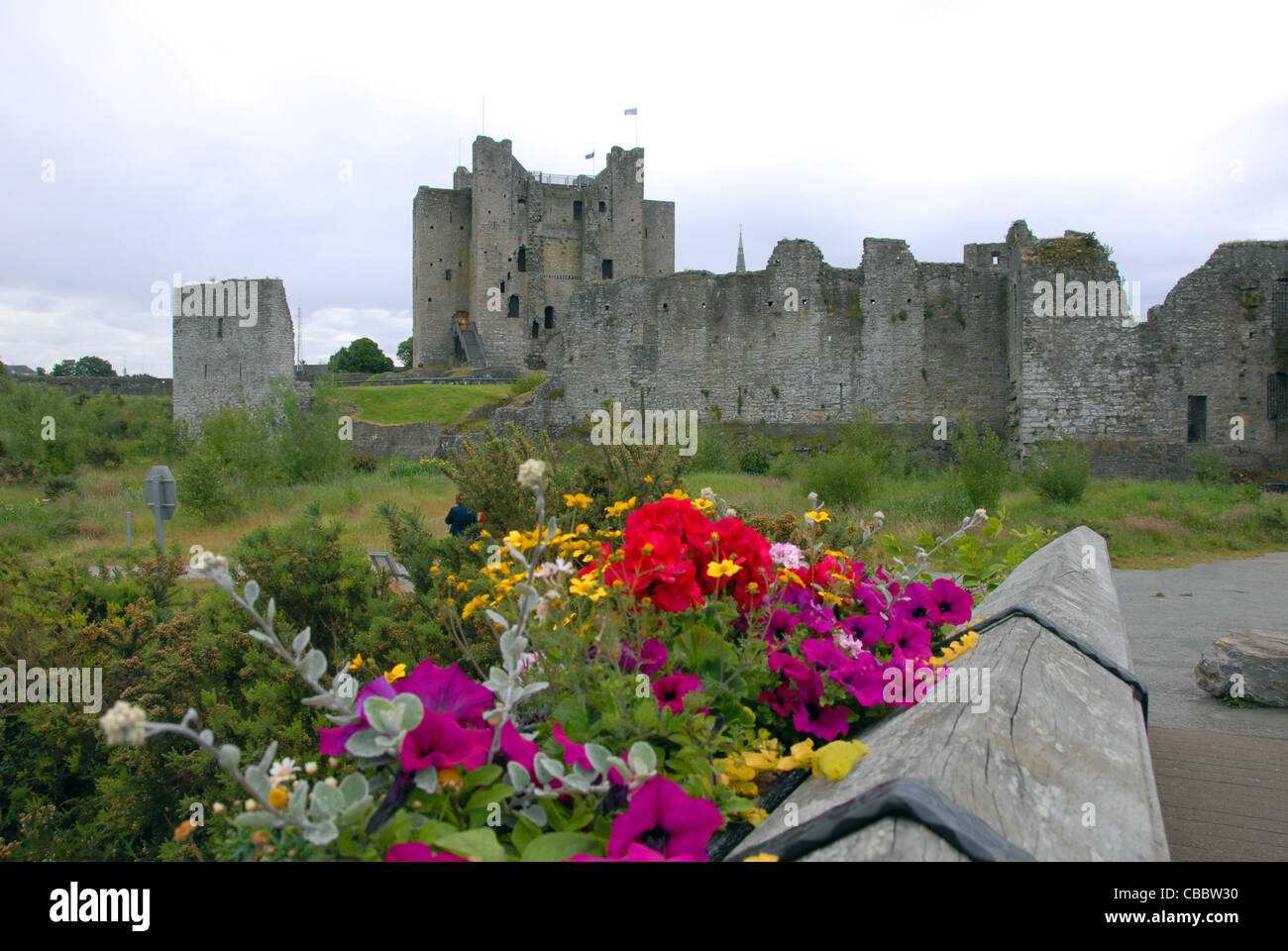 Trim Castle built in the 1170`s meath Ireland Boyne valley Stock Photo